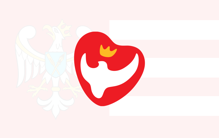 Zmiana lokalizacji punktu NPP/NPO w Witkowie