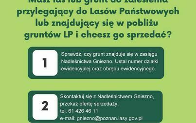 Zdjęcie do Ogłoszenia o zakupie grunt&oacute;w leśnych oraz rolnych do zalesienia