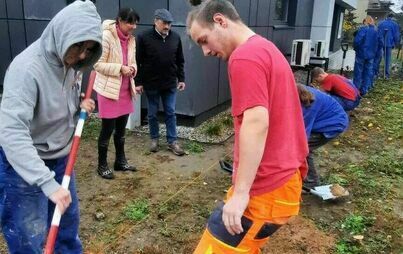 Zdjęcie do Nowe nasadzenia przy CKZiU