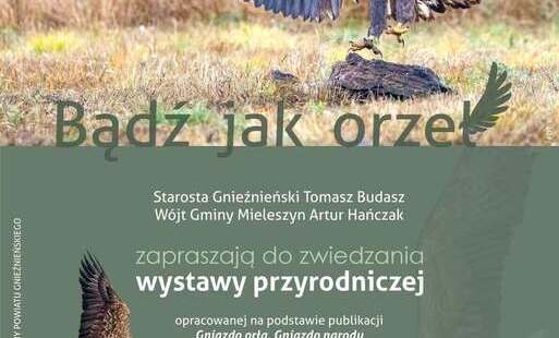 Zdjęcie do Bądź jak orzeł - wystawa fotografii w Mieleszynie